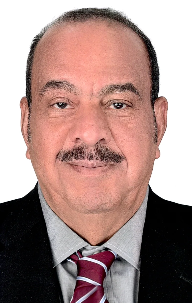 Prof. Mohamed Sharkawy