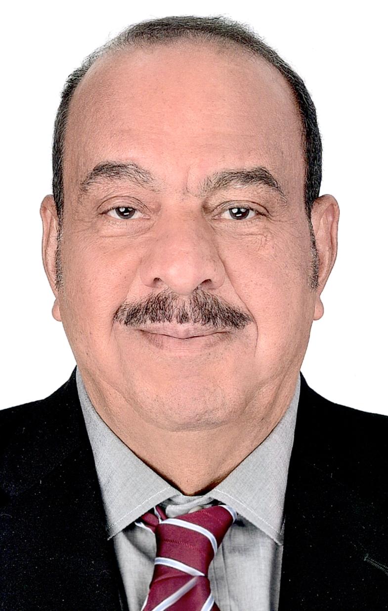 Prof Sharkawy